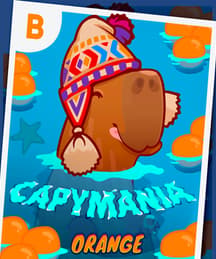 Capymania Orange
