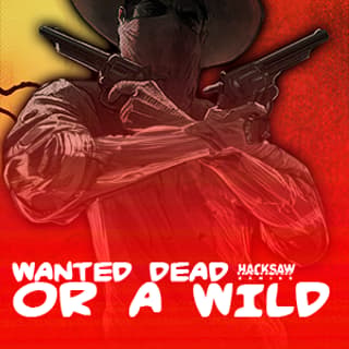 Wanted Dead or a Wild 96