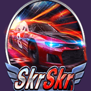 SkrSkr