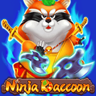 Ninja Raccoon