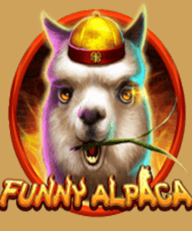 Funny Alpaca