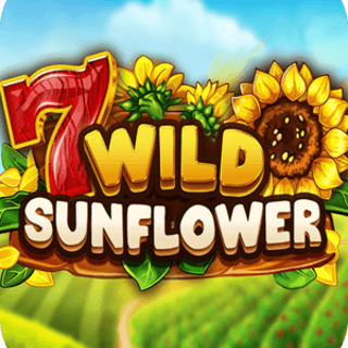 Wild SunFlower