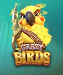 Crazy Birds
