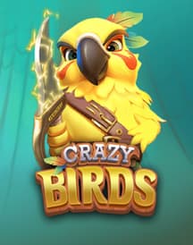 Crazy Birds