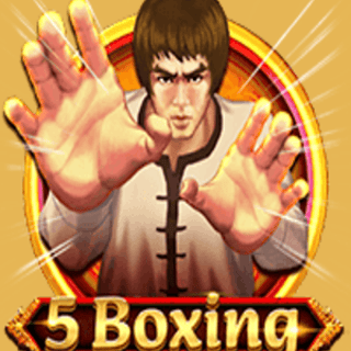 5 Boxing