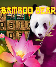 Bamboo Bear