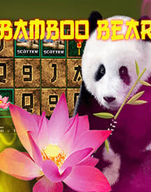 Bamboo Bear