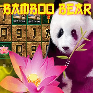 Bamboo Bear