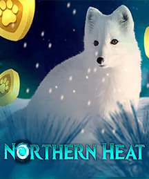 Northern Heat