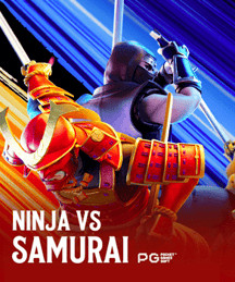 Ninja vs Samurai