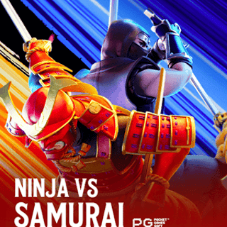 Ninja vs Samurai