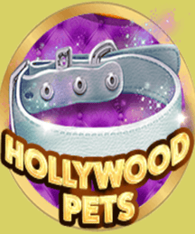 Hollywood Pets