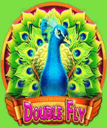 Double Fly