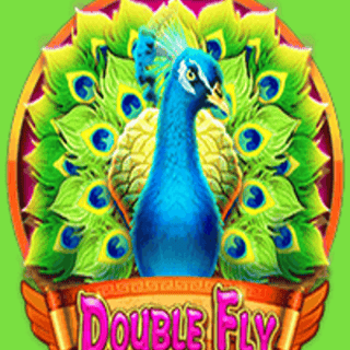 Double Fly