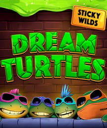 Dream Turtles