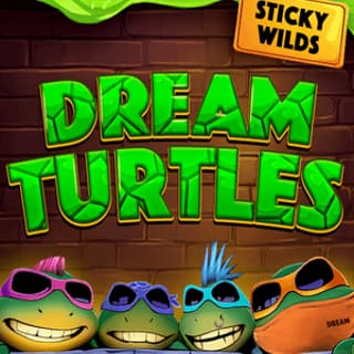 Dream Turtles
