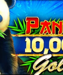 Panda Gold 10,000