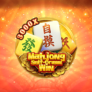 Mahjong SelfDrawn Win
