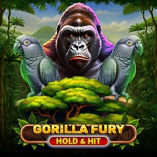 Gorilla Fury - Hold & Hit