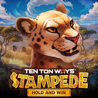 Ten Ton Ways Stampede