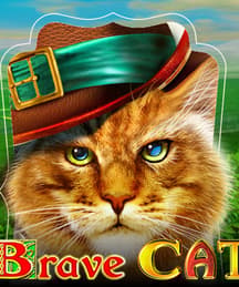 Brave Cat
