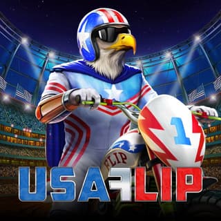 USA Flip