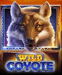 Wild Coyote