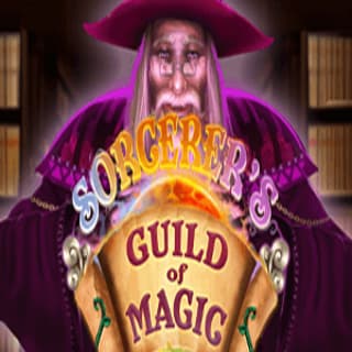Sorcerer's Guild of Magic