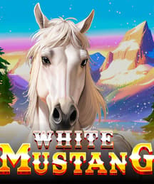 White Mustang