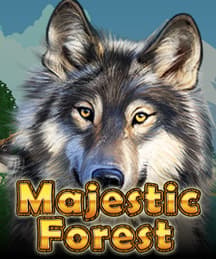 Majestic Forest