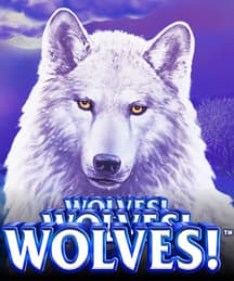 Wolves! Wolves! Wolves!