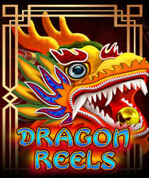 Dragon Reels