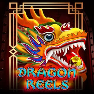 Dragon Reels