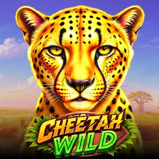 Cheetah Wild