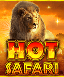 Hot Safari