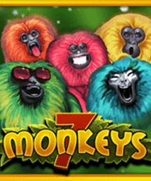 7 Monkeys
