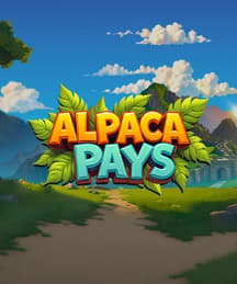 Alpaca Pays