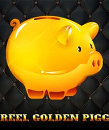 1 Reel Golden Piggy