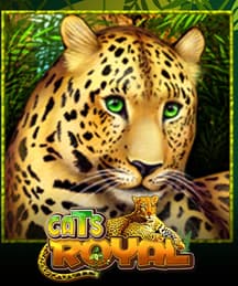 Cats Royal