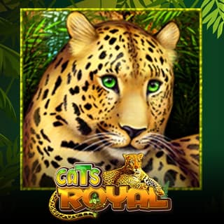 Cats Royal