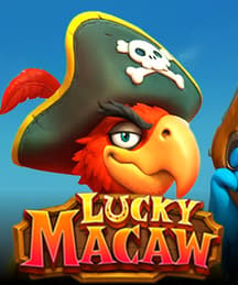 Lucky Macaw