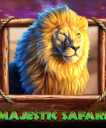 Majestic Safari