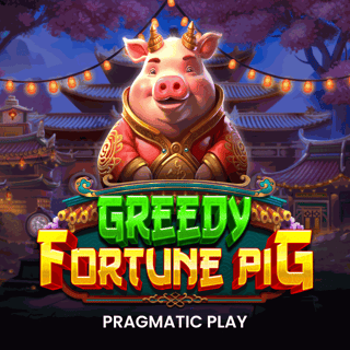 Greedy Fortune Pig