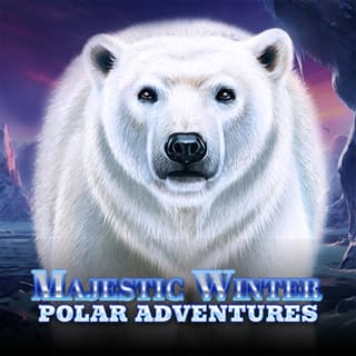 Majestic Winter - Polar Adventures