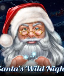 Santa's Wild Night