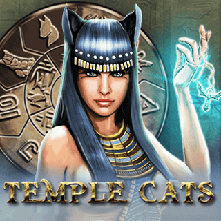 Temple Cats