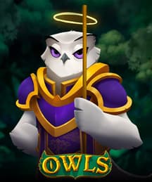 Owls