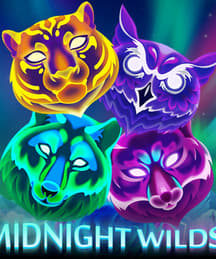 Midnight Wild