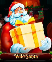 Wild Santa