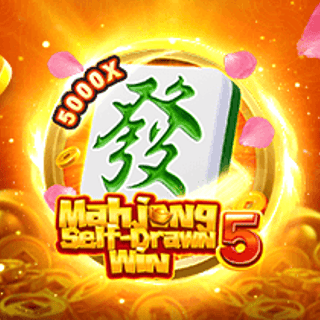 Mahjong SelfDrawn Win 5